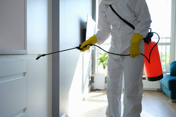 Best Mold Removal for HVAC Installations  in Hwatha, IA