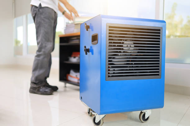 Best Forensic Mold Investigation  in Hwatha, IA