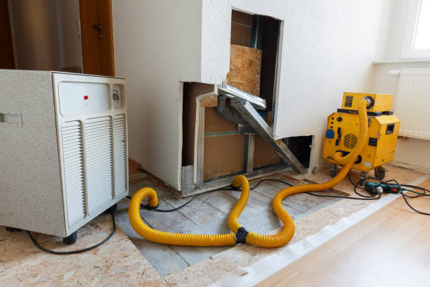 Best Mold Remediation for Vacation Homes  in Hwatha, IA