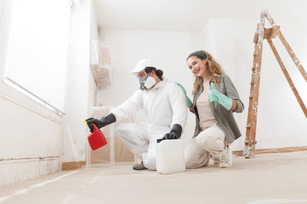 Best Water Damage & Mold Remediation  in Hwatha, IA