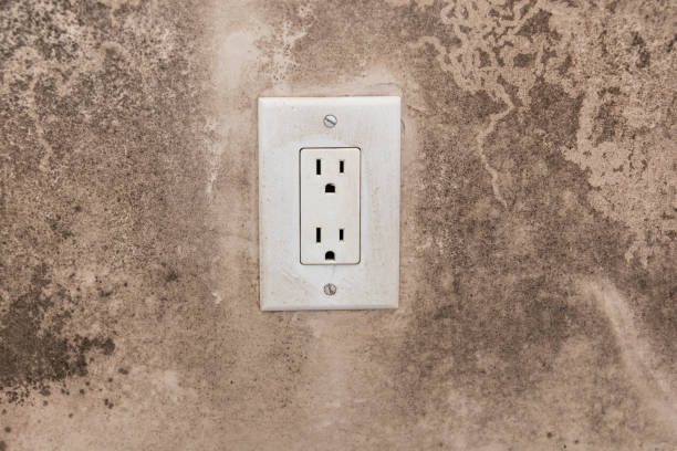 Reliable Hiawatha, IA Mold Removal Solutions